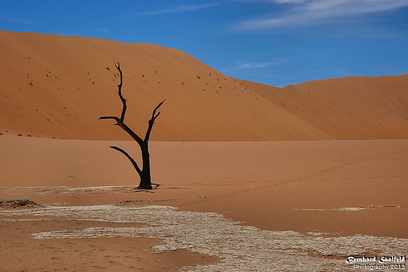 Bernhard Saalfeld - Death Valley